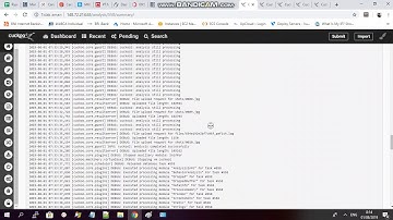 Cuckoo Sandbox Online with Arguments Test on PaFish
