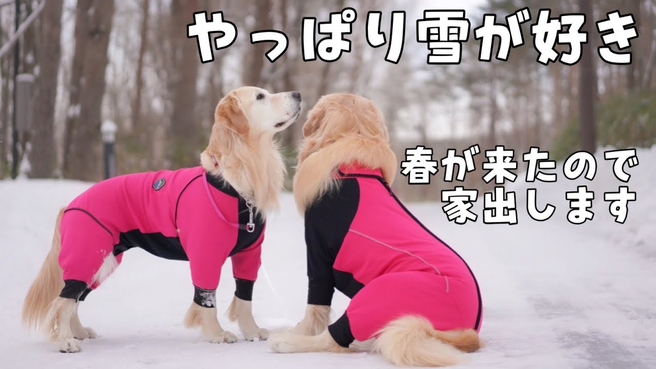 【やっぱり旅に出ます1】家族を置いて山へ向かう雪山系女子勢