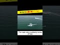 "Beauty Flight"集めました！『人力プロペラ機部門編②』#shorts
