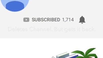 gets exposed for sub bot so deletes channel