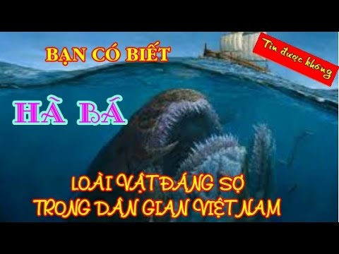 Chuyện cướp cơm hà bá ở cầu Bến Thủy