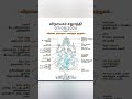 விநாயகர் திருவுருவத்தின் தத்துவம் 🙏#ganeshchaturthi #ganpati #ganesha #vinayagarstatus #vinayagar