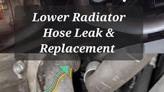 Volkswagen Coolant leak Part 2 - Replacing Lower Radiator Hose -  Golf Mk5 2.0 FSI