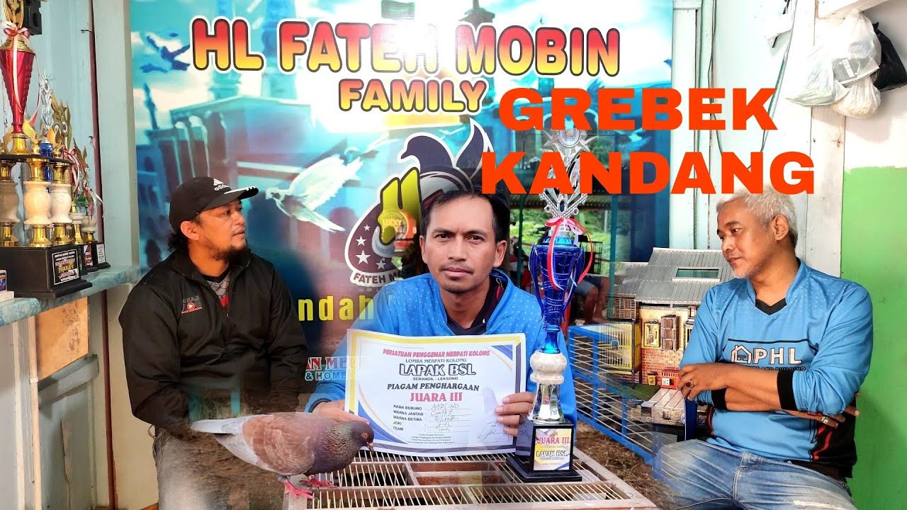 GREBEK KANDANG TEAM, HL FATEH MOBIN FAMILY. TERYATA ADA TRAH GUNZILA/ DAN SAPU ANGIN