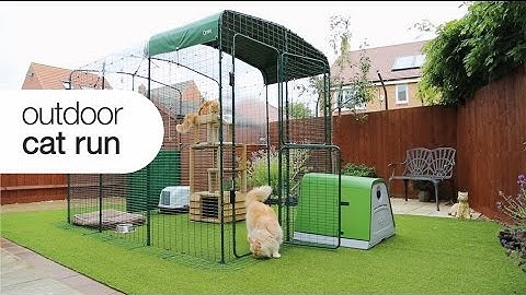 Cat Enclosure - Outdoor Cat Run | Omlet