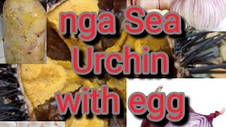 Sea Urchin with Egg or tuyom gi itlogan