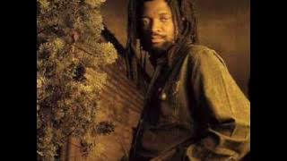 Lucky Dube - War and Crime