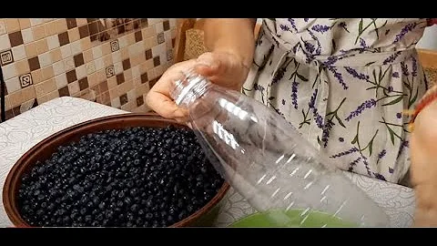 ЗАГОТОВКА ЧЕРНИКИ СОХРАНЯЕТ ВКУС И ПОЛЬЗУ @obovsemsmarusya