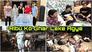 Ribu Ko Ghar Leke Aaye || Finally 2 Bakre Aagaye Bhai Ke ||😍😍|| Family Vlogs #viral