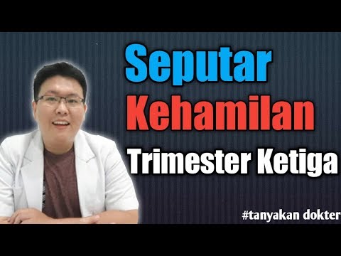 Video: Apa Yang Mencirikan Minggu Ketiga Kehamilan