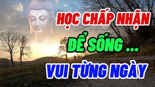 Học Cách Bình Thản Để Sống Vui Từng Ngày - Suy Ngẫm Sự Đời - Chánh Pháp Tuệ Giác