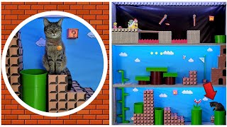 Кот побеждает в настоящей трехуровневой игре Super Mario Brothers