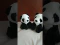 Twin panda toys educational asmr panda trending ytshorts