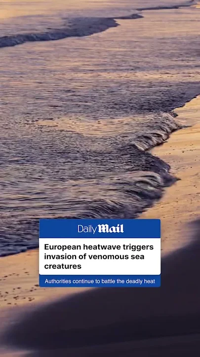 European heatwave triggers wave of venomous sea creatures