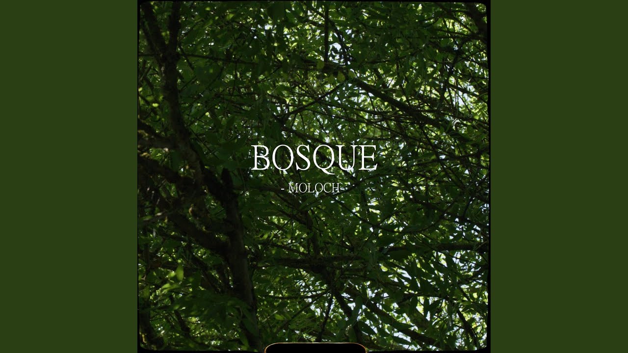 Watch Bosque on YouTube Watch Bosque on YouTube