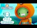 Octonauts: The Over Under Adventure