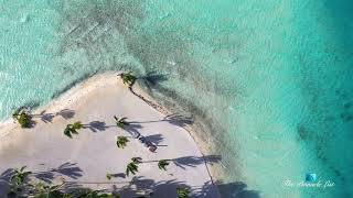 Motu Tane Private Island | Tropical Beach Sea Views | Bora Bora, French Polynesia 🇵🇫 | Part 20