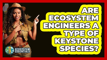Are Ecosystem Engineers A Type Of Keystone Species? - Ecosystem Essentials