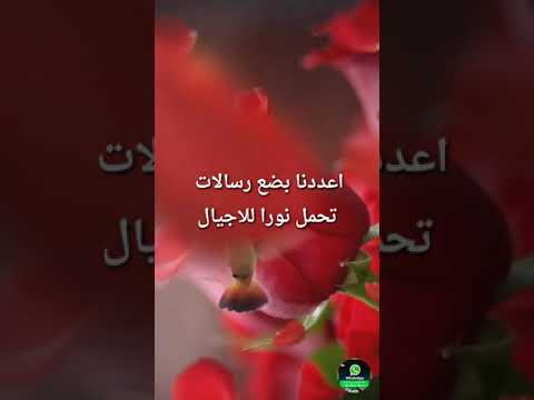 حالة واتس أب معنا نهج حياة جئنا تبصرة عن كل ضلال المنشد محمد المقيط 