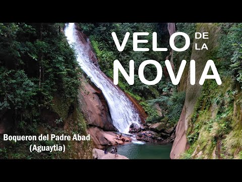 Video: Tingo Maria, Peru në rajonin Huánuco