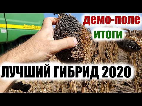 Как показали себя