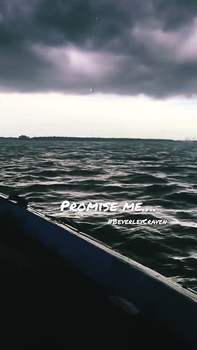 Promise Me ~ Beverley Craven #shorts #remix #evergreenlovesong