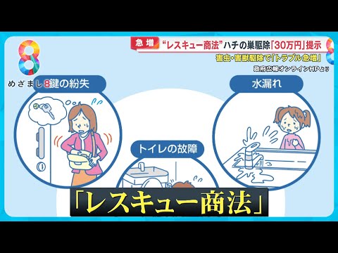 【急増】“レスキュー商法”に要注意！ハチの巣駆除で30万円？トイレ詰まりで50万円？【めざまし８ニュース】