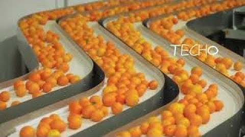 Amazing Citrus Processing Machines 2017 Most satisfying Food Processing video in the World
