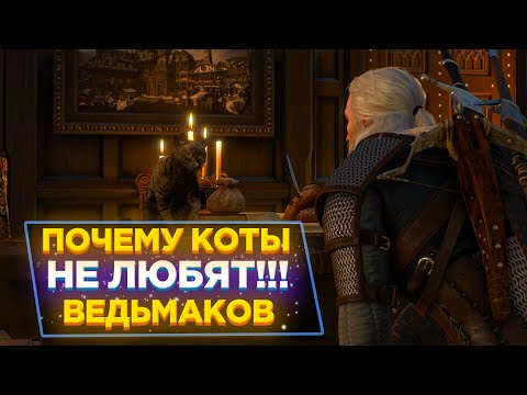 🐈ПОЧЕМУ КОТЫ В ВЕДЬМАК 3 НЕ ЛЮБЯТ ВЕДЬМАКОВ?| Ведьмак 3 Секреты