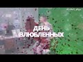 Test Tolmachev