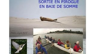 Sortie Pirogue en Baie de Somme