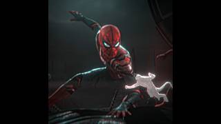 Spider - Man Nwh Edit X Salio Gatubela