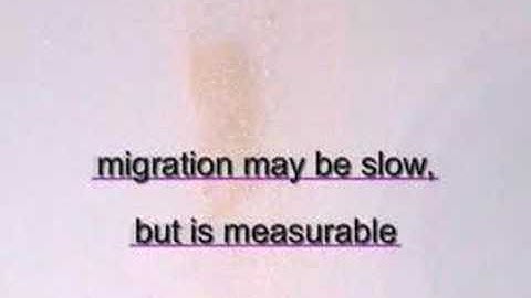 IU Flume Movie V1 part1