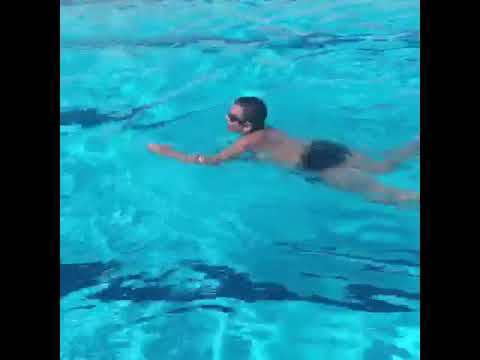 Video: A mund të notosh me narvalët?