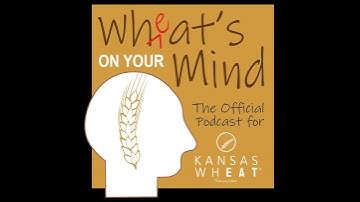 WOYM - Joseph Awika, K-State Grain Science