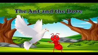 The Ant And The Dove | Story In English | Moral story for Kids