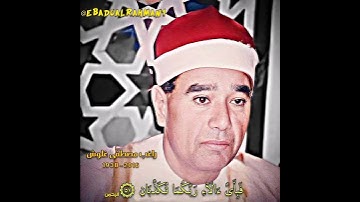 راغب مصطفی غلوش مقام السیکا (سورة الرحمن)