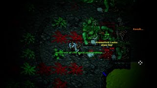 TIBIA STUFF | MOMENTOS TIBIA #1