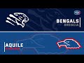 Highlights bengals brescia vs aquile ferrara