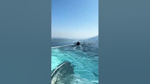 Thumbnail of Swim in the pool #short