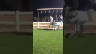 أحمد السقا بالحصان مستر ياسين الله يباركلك