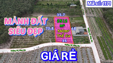 Đất Đẹp Giá Rẻ , Dt 2512m2, Thổ Cư 560m2 quÁ ngon. Ngay sát 2 kcn ( VISIP 2, Mỹ Phước 3 ) Bình Dương