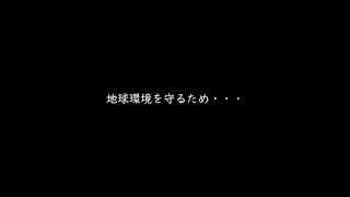 レジ袋？何それ？　昔は商店もスーパーマーケットも買い物するとこんな紙袋をもらえたな