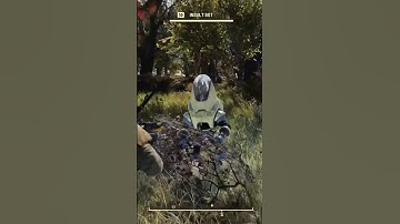 Insult bot roast Vault 76