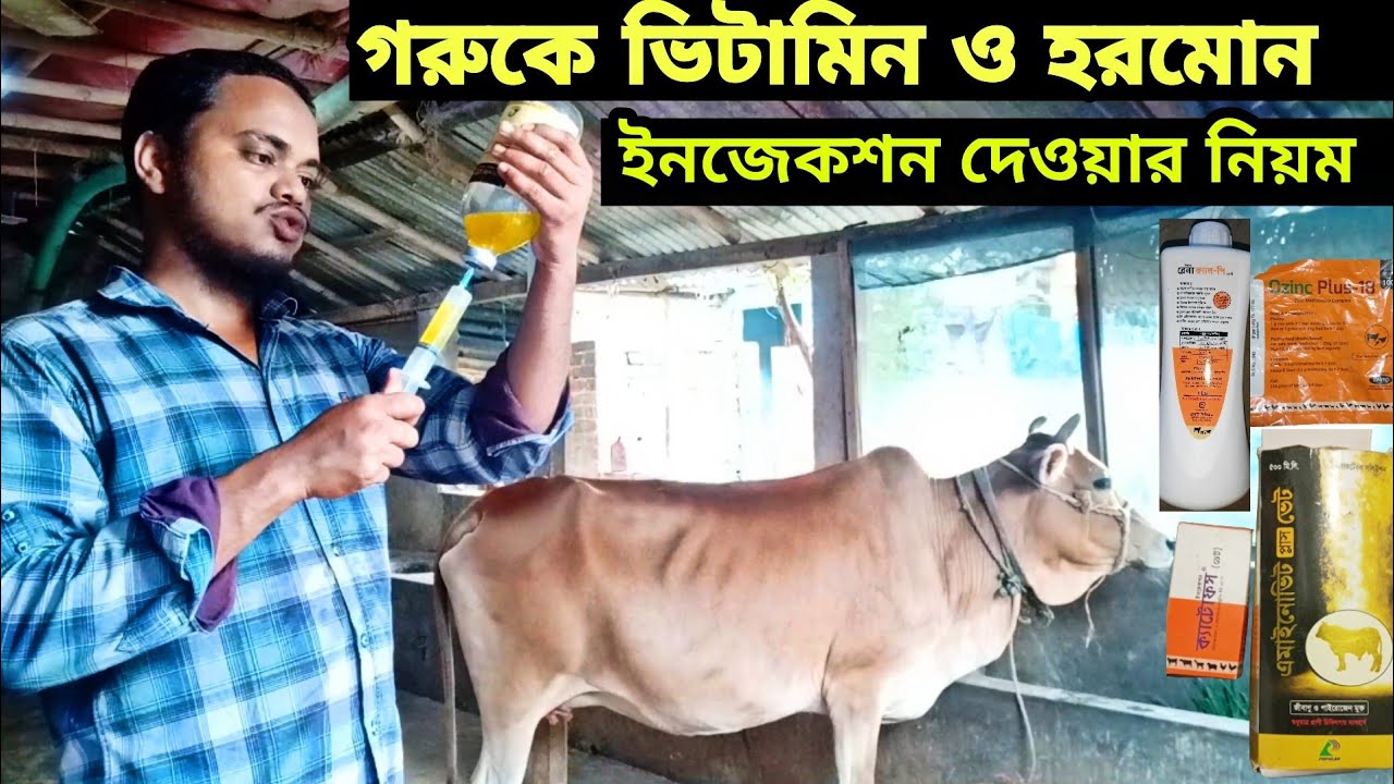 Rus ona jinsiy aloqa video istaydi