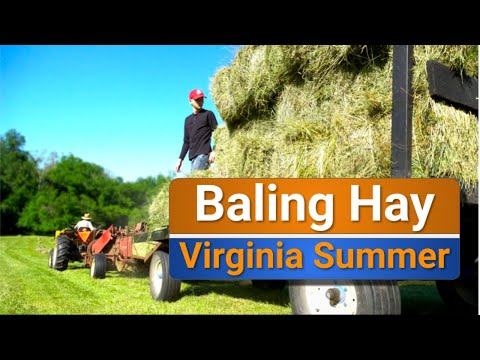 Cutting, tedding, raking