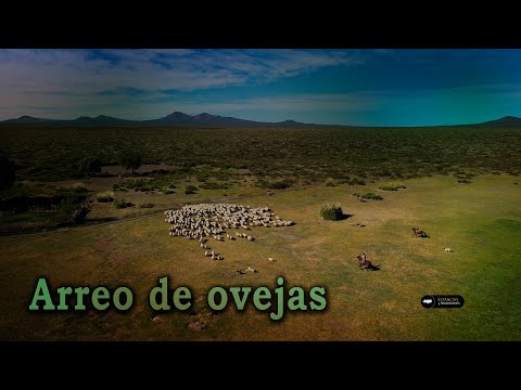 235 Puesto Trintrica