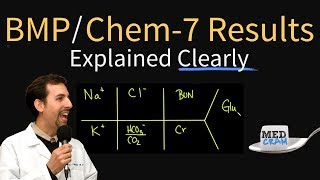 Basic Metabolic Panel (BMP) / Chem 7 Results Explained