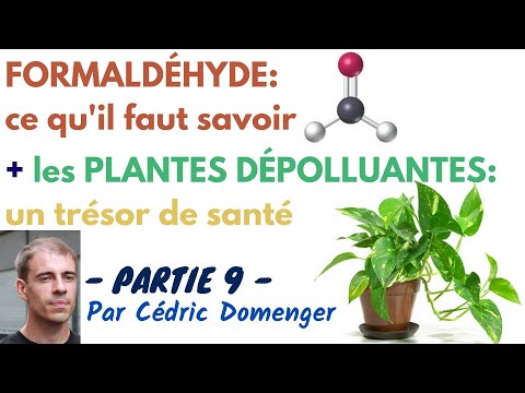 Vidéo: Les Effets Bénéfiques Des Plantes. Partie 9