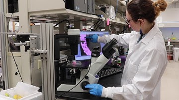 Ashley Chapin on Engineering Biosensors for Measuring Neurotransmitters